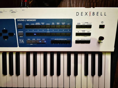 Dexibell S9對比雅馬哈機(jī)械鋼琴與工作站 選琴如品酒，硬件零售新視角