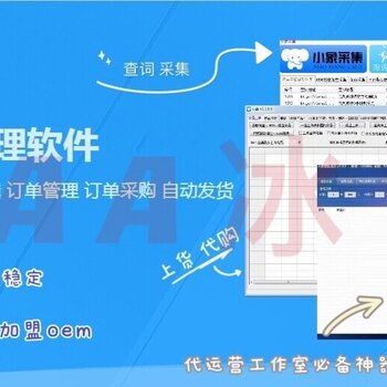 拼多多無貨源店群軟件開發(fā)與生態(tài)賦能 技術(shù)、招商與運(yùn)營(yíng)一體化解決方案