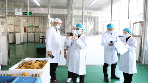 大連自貿(mào)片區(qū)推出食品生產(chǎn)加工“5G+AR”智慧監(jiān)管新模式，賦能健康管理與咨詢